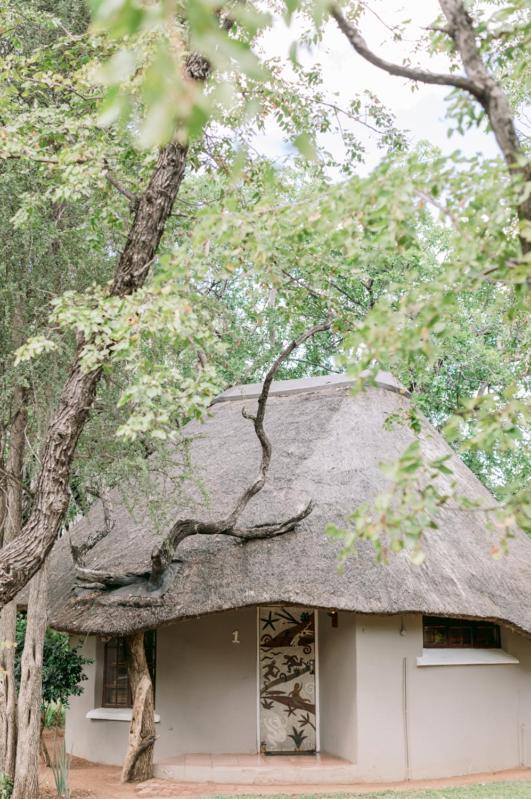 Limpokwena Nature Reserve Tokio Kültér fotó