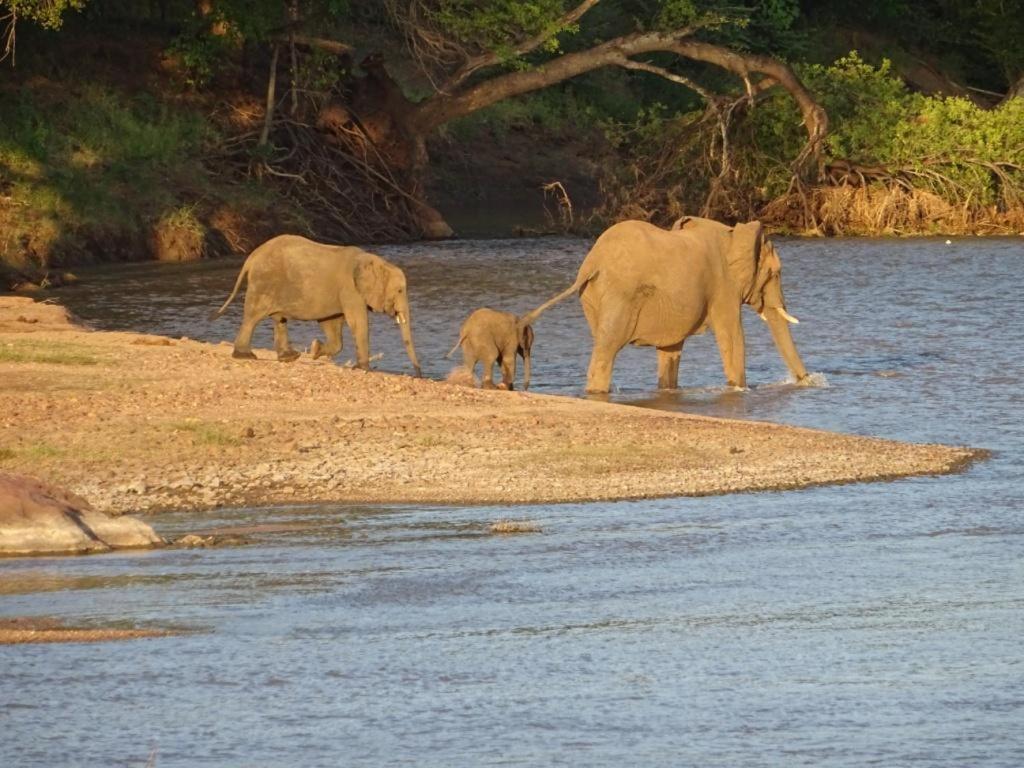 Limpokwena Nature Reserve Tokio Kültér fotó