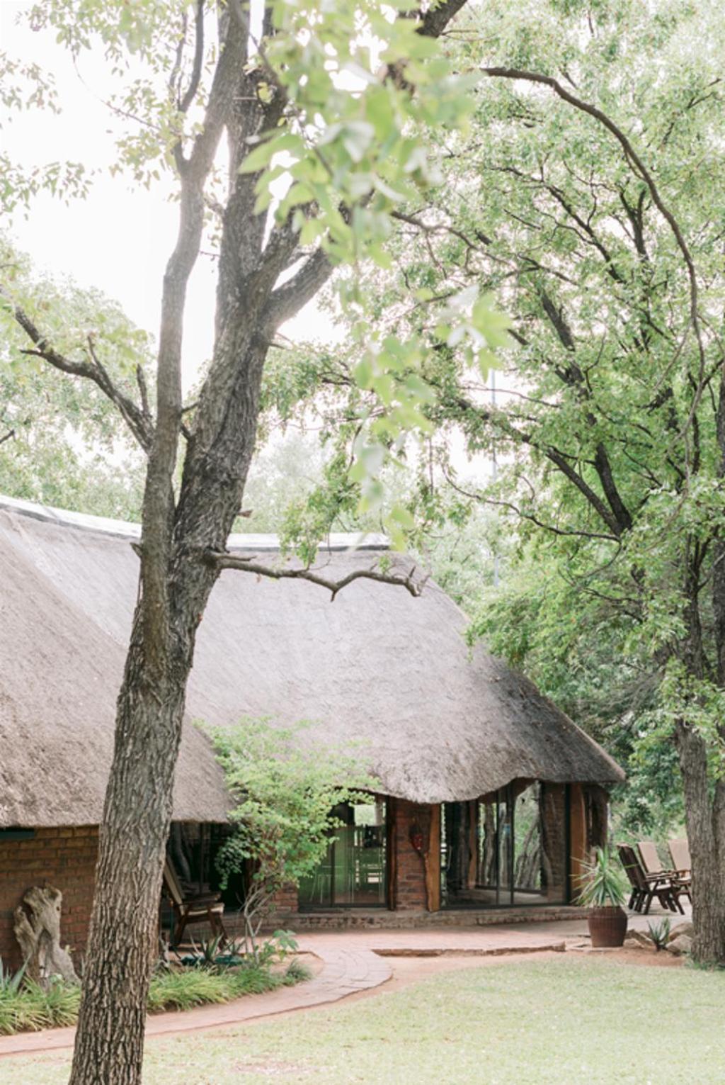 Limpokwena Nature Reserve Tokio Kültér fotó