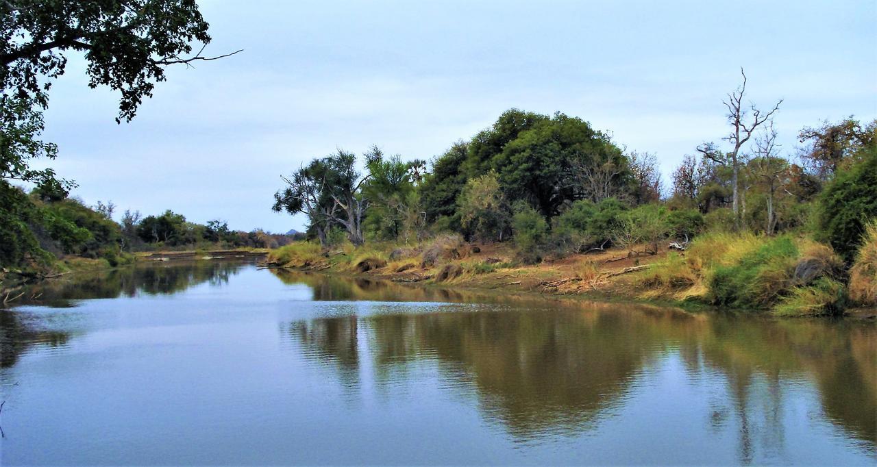 Limpokwena Nature Reserve Tokio Kültér fotó